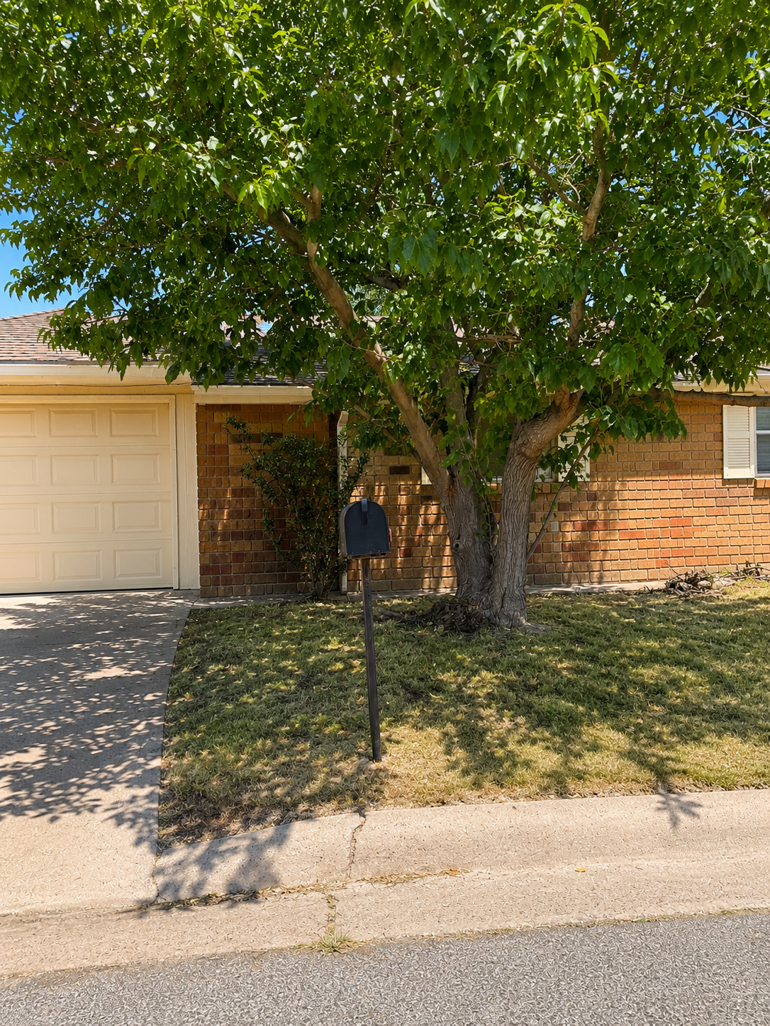 950 Piedmont Drive